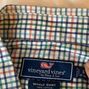 Vineyard vine